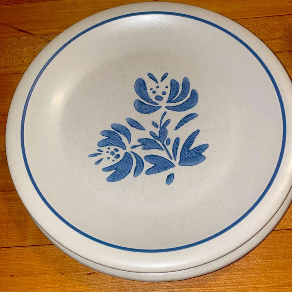 Set of 2 vintage “Yorktowne Blue” Pfaltzgraff EUC, 10.25in Dinner Plates